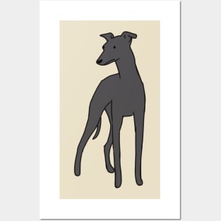 italian greyhound drawing Posters and Art